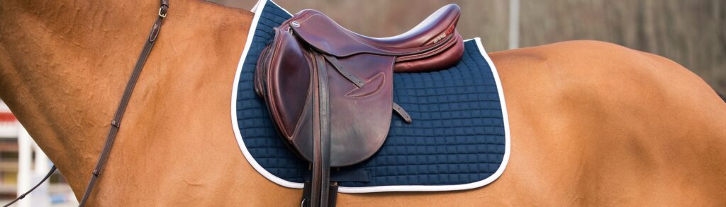 10 Best Saddle Pads - New Level of Comfort