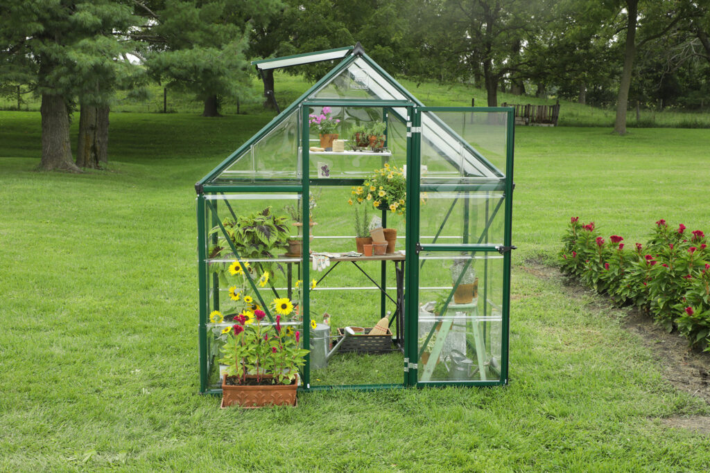 12 Best Small Greenhouses - All That Your Plants Need!