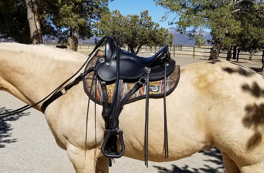 5 Best Horse Saddles - All You Need for Comfort