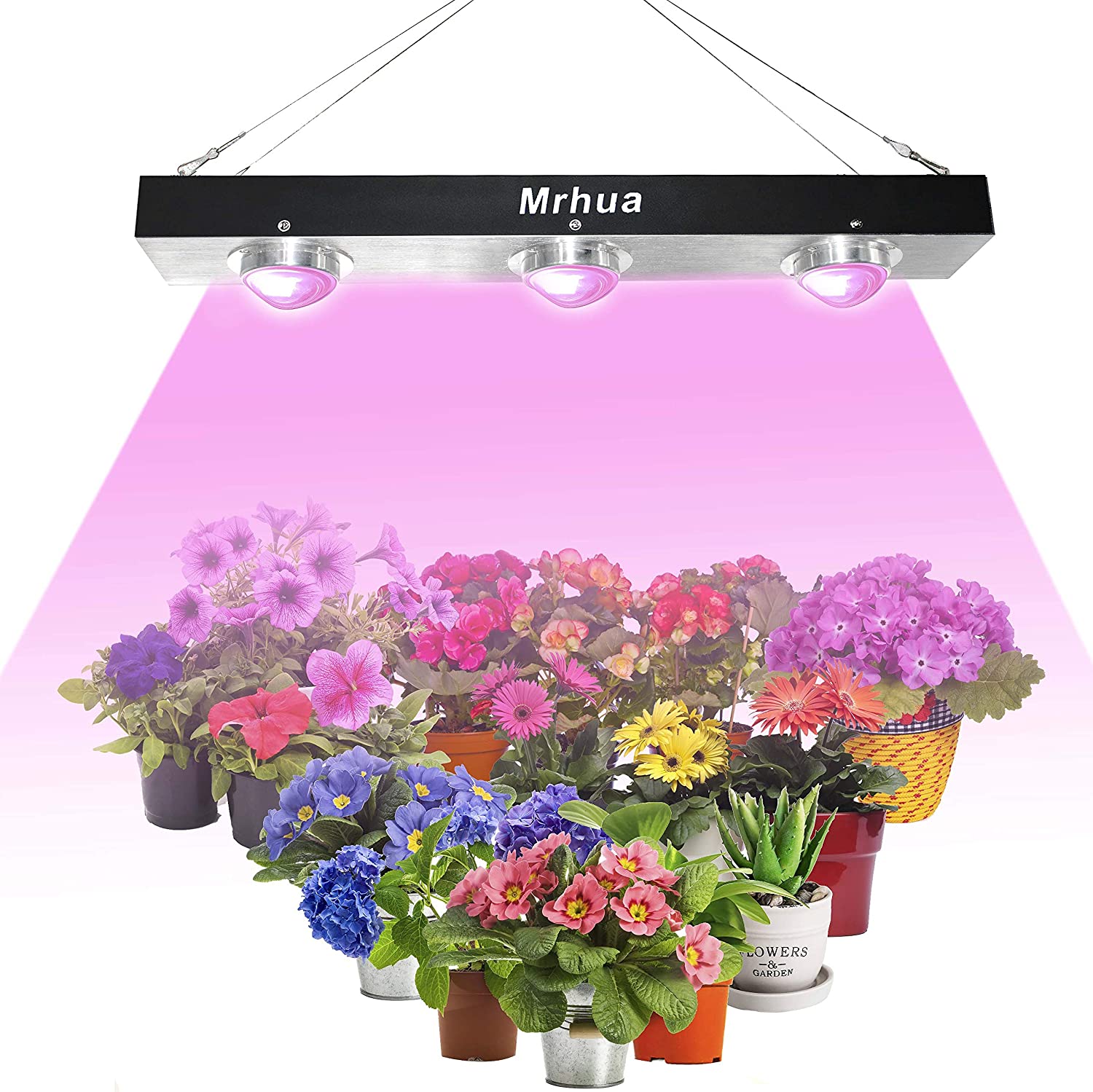 Mrhua 600W COB LED Grow Light