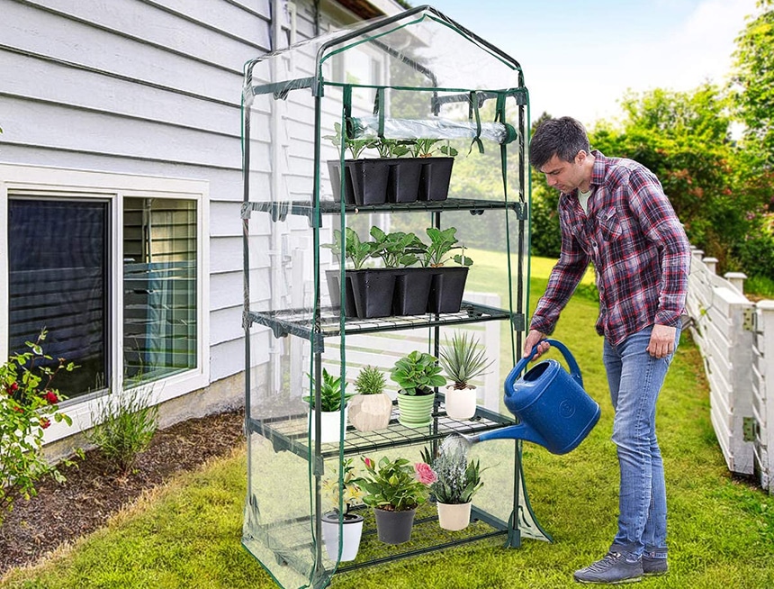 12 Best Small Greenhouses - All That Your Plants Need! (Fall 2022)