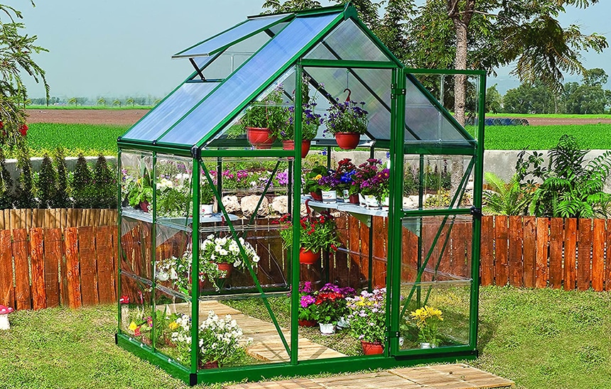 12 Best Small Greenhouses - All That Your Plants Need!