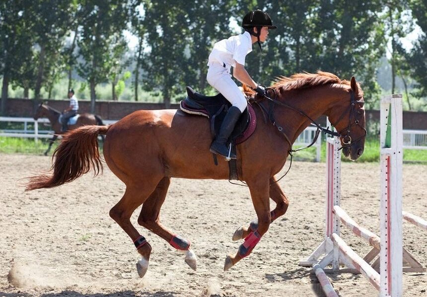 6 Best Kids Horse Riding Helmets – Safety Above All!