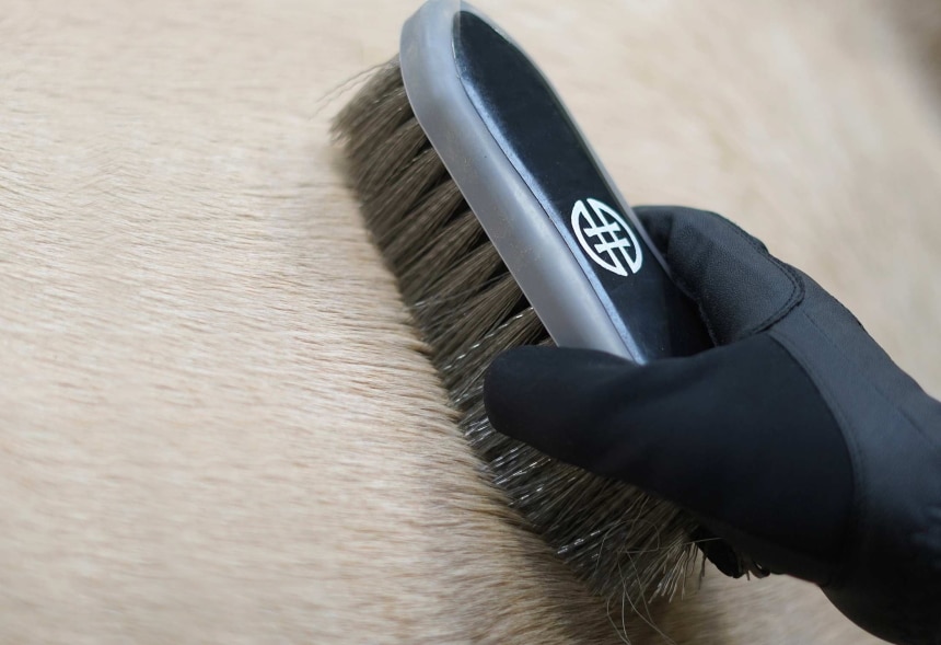 9 Best Horse Grooming Kits - Take the Guesswork out of Which Brushes or Equipment to Use