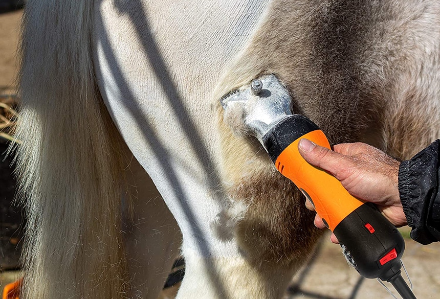 7 Best Horse Clippers for Neat Grooming (Spring 2022)