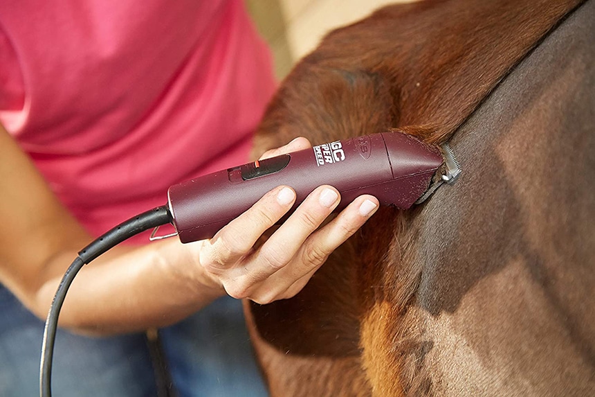7 Best Horse Clippers for Neat Grooming (Spring 2022)