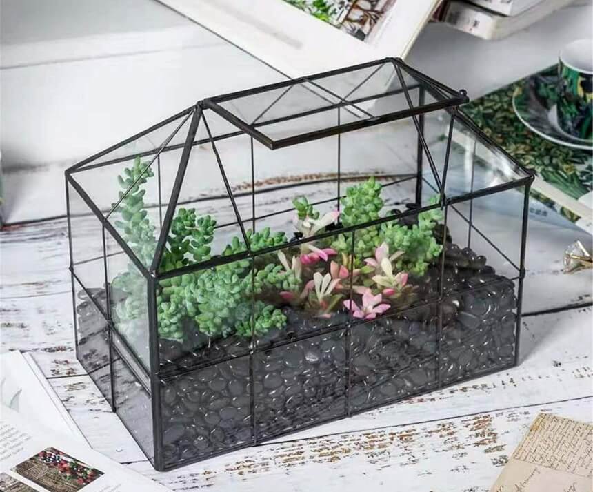 Best 7 Indoor Greenhouses – Grow Your Plants in Safer Environment!