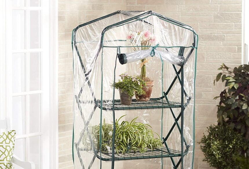 Best 7 Indoor Greenhouses – Grow Your Plants in Safer Environment! (Fall 2022)