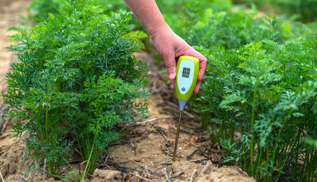 10 Best Soil Test Kits – Achieve the Balance of Nutrients!