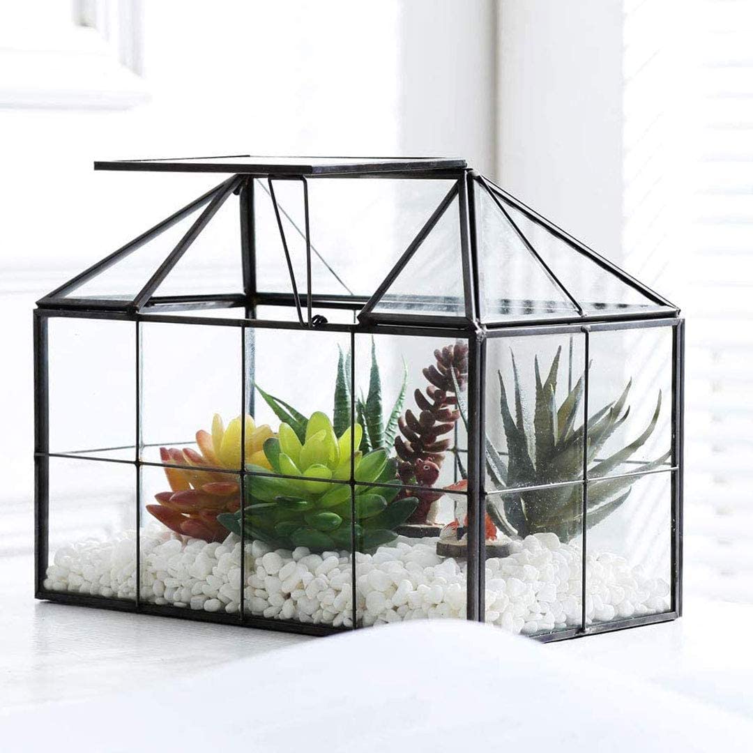 Purzest Glass Terrarium