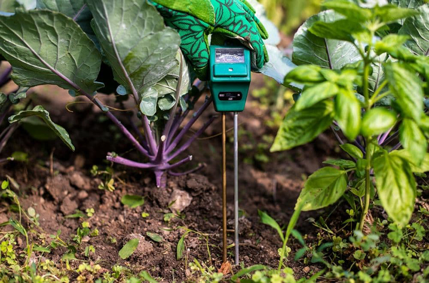 10 Best Soil Test Kits – Achieve the Balance of Nutrients!