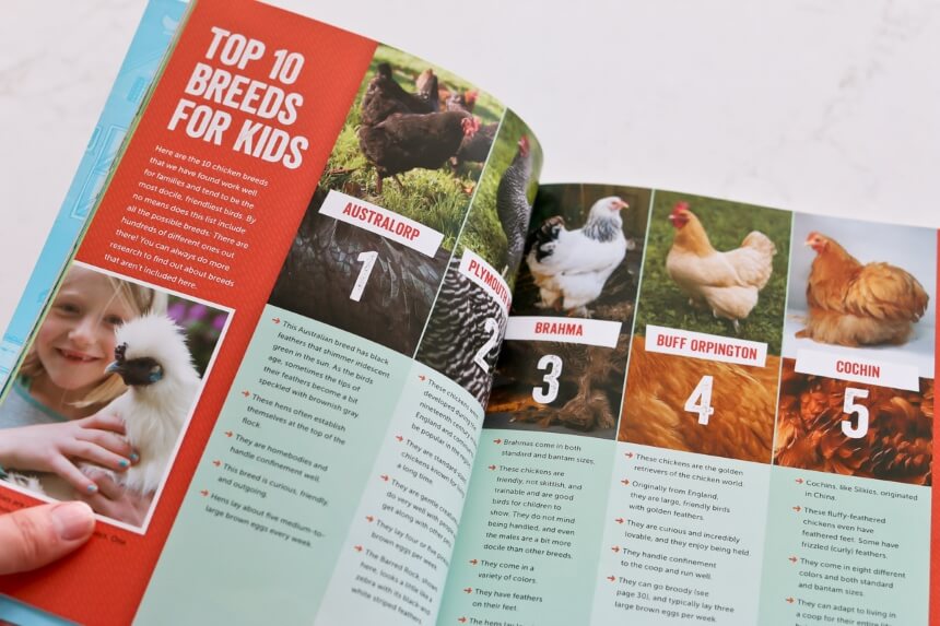 8 Best Books for Raising Chickens Suitable for Beginners and Serious Farmers