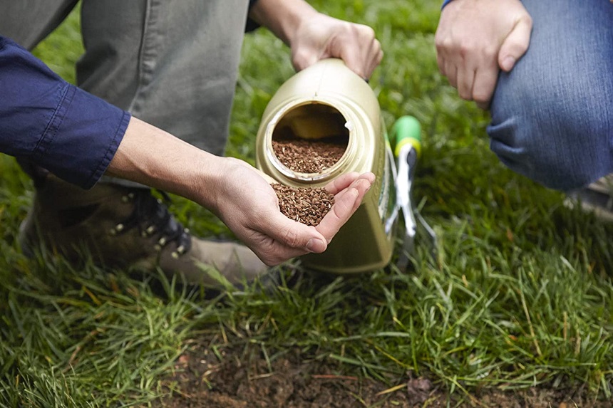 4 Best Fertilizers for New Grass - Give It A Good Start (2023)