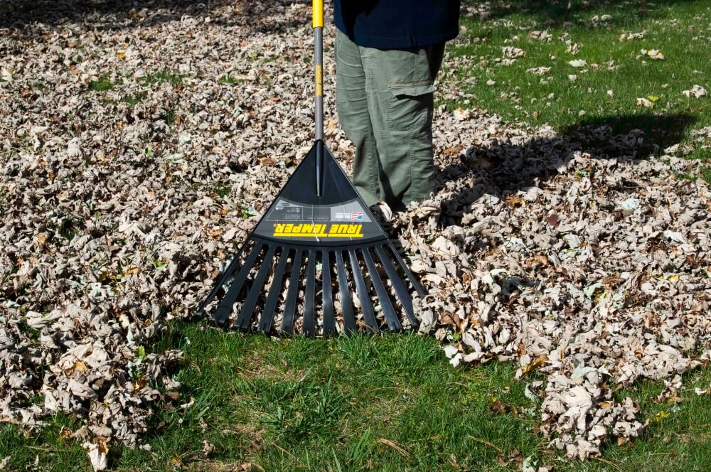 10 Best Leaf Rakes – Keep Your Yard or Garden in Perfect Condition!