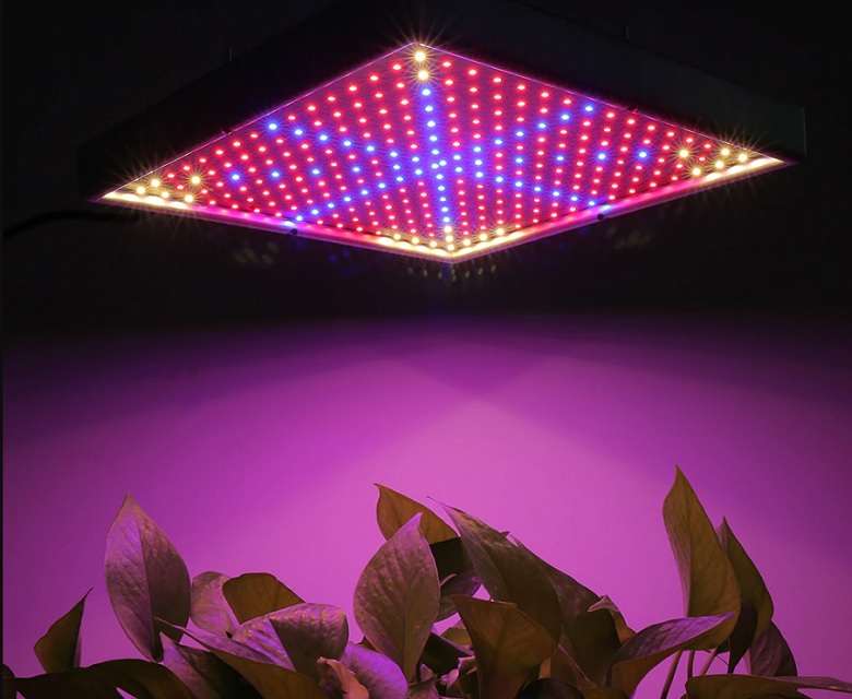 8 Best Full Spectrum LED Grow Lights for All Stages of Growth