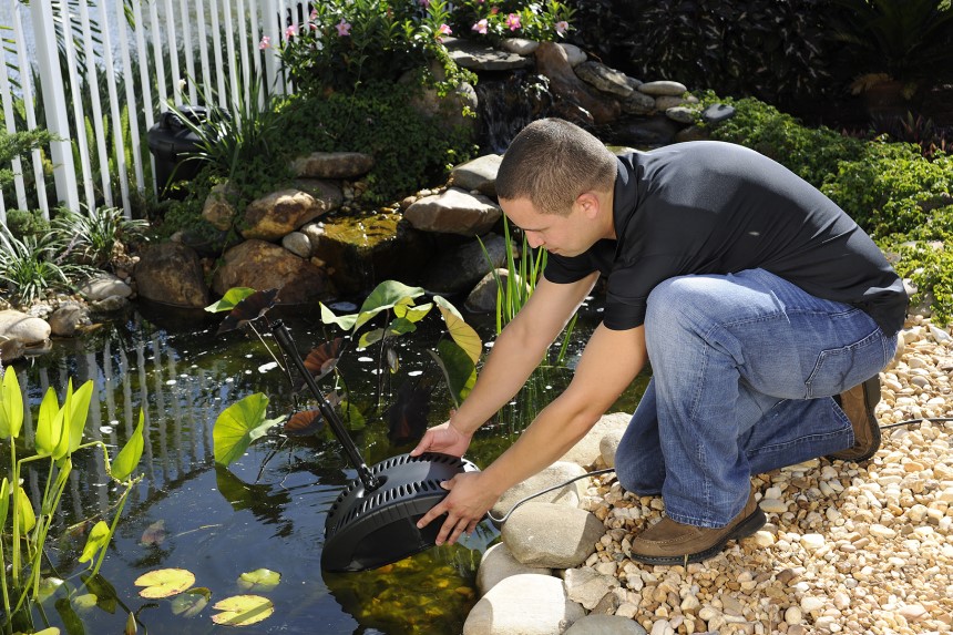How to Keep Pond Water Clear Without a Filter