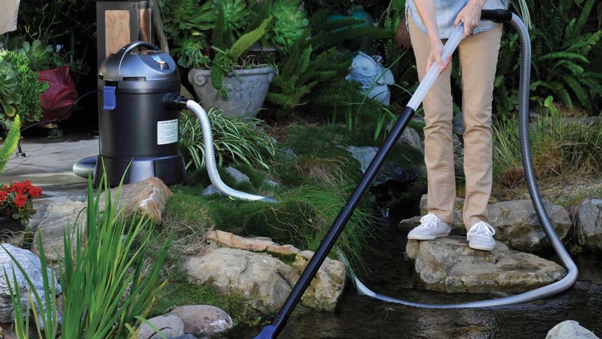 How to Keep Pond Water Clear Without a Filter