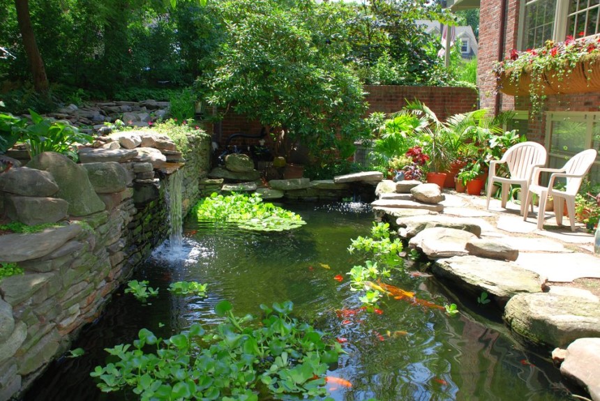 How to Keep Pond Water Clear Without a Filter