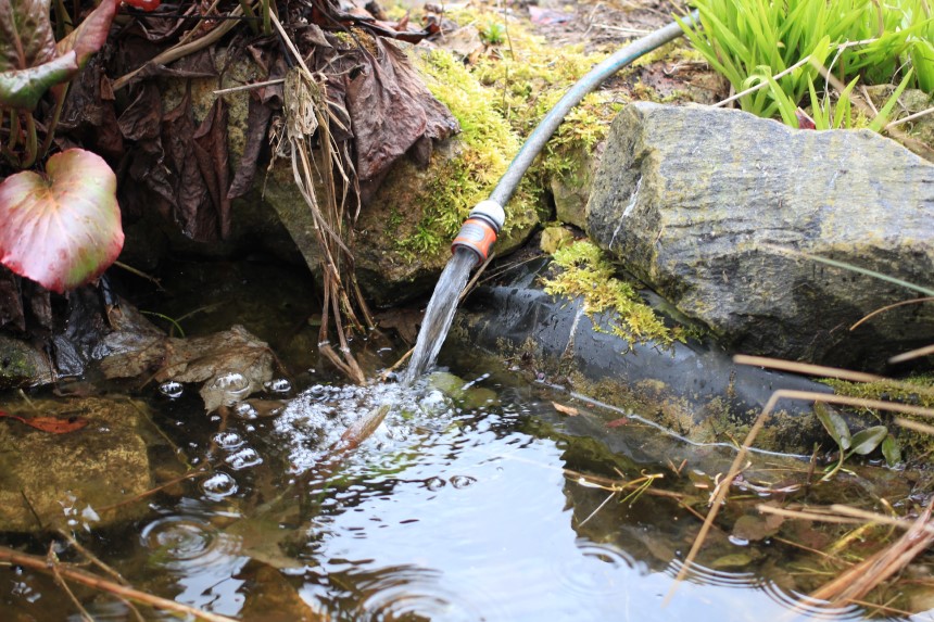 How to Keep Pond Water Clear Without a Filter