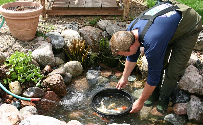 Pond Draining: 5 Most Efficient Ways