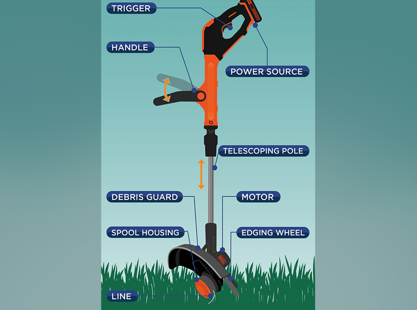 Curved vs Straight Trimmer: The Difference Explained