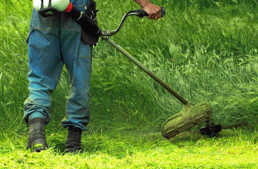 Electric vs Gas Weed Eater: Which Is Better For You?