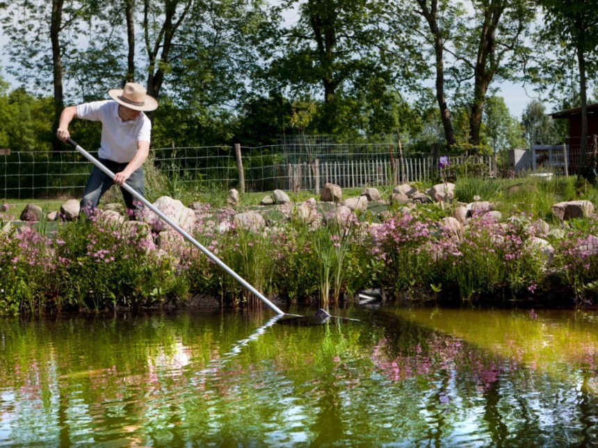 How to Clean a Pond Without Draining It