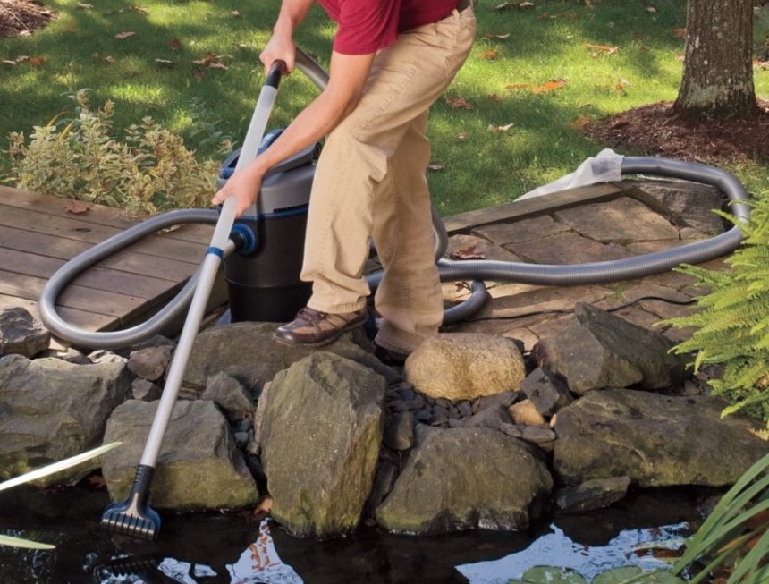 How to Clean a Pond Without Draining It