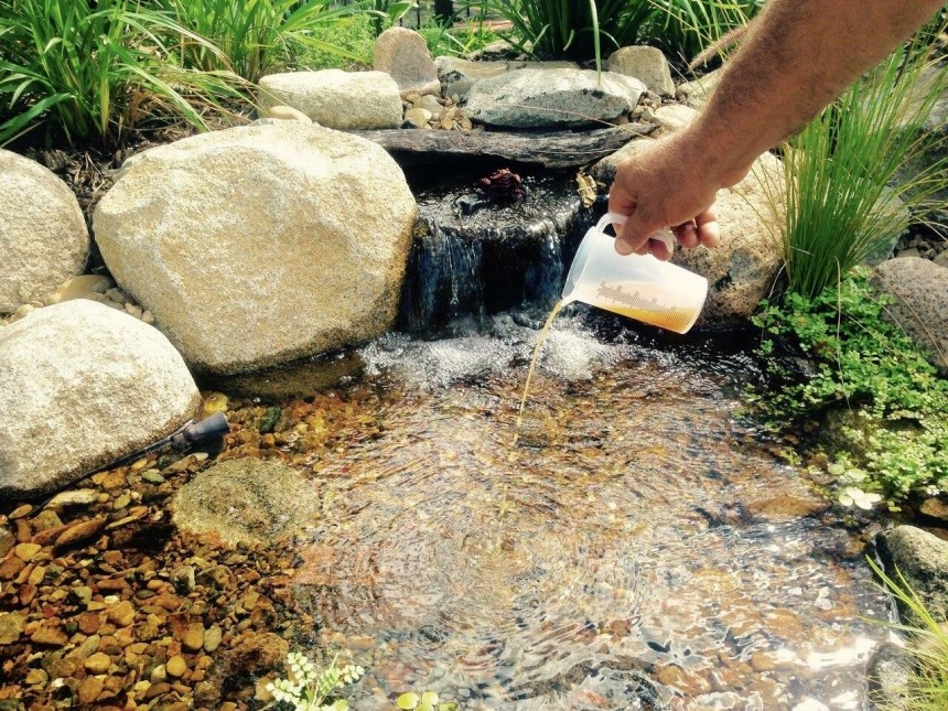 How to Clean a Pond Without Draining It