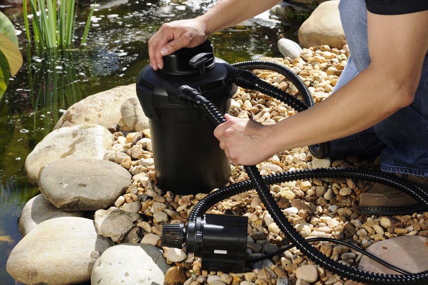 How to Clean a Pond Without Draining It