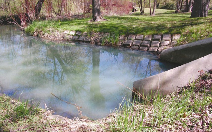 How to Clear Murky Pond Water in Just 4 Easy Steps