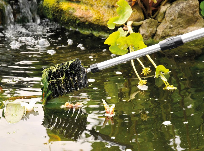 How to Clear Murky Pond Water in Just 4 Easy Steps