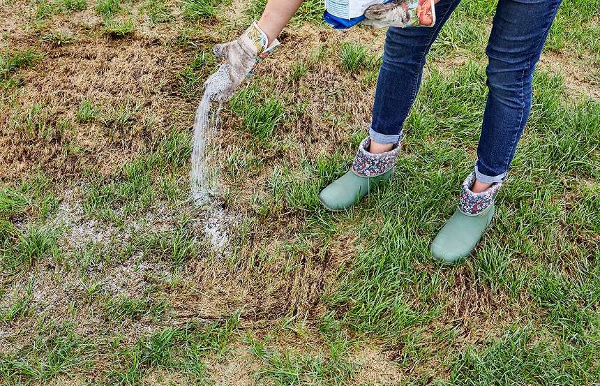 Causes of Burnt Grass and How to Fix It