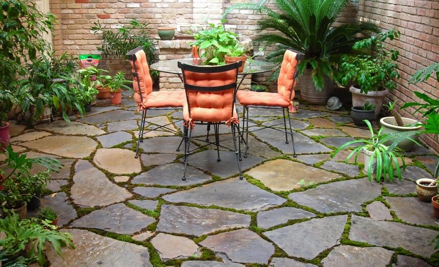 How to Get Rid of Moss on Patio: Three Most Common Ways