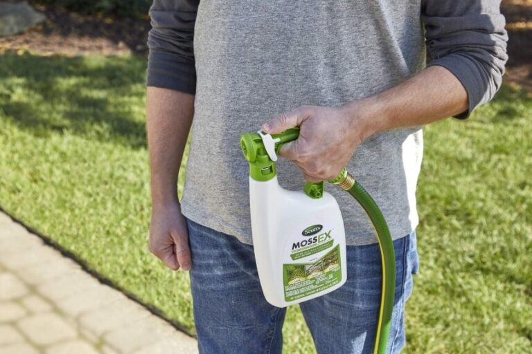 How to Get Rid of Moss on Patio It's Easier Than You Thought!