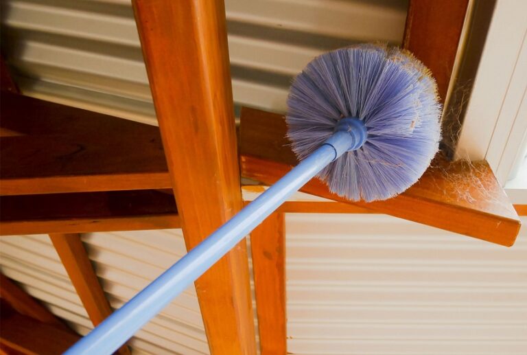 How to Keep Spiders Away from Patio? Here's the Answer [Upd. 2024]