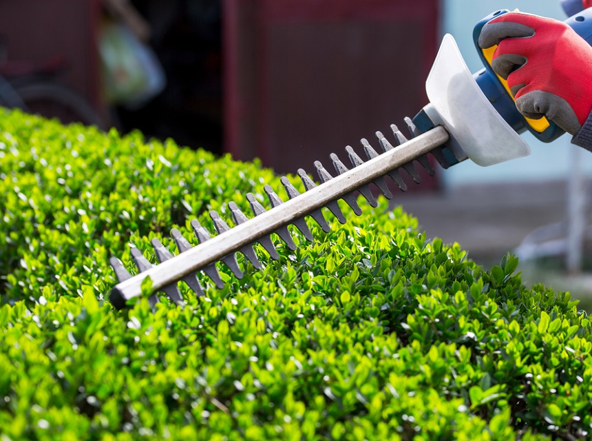 In-detail Guide on How to Use a Hedge Trimmer Safely and Effectively