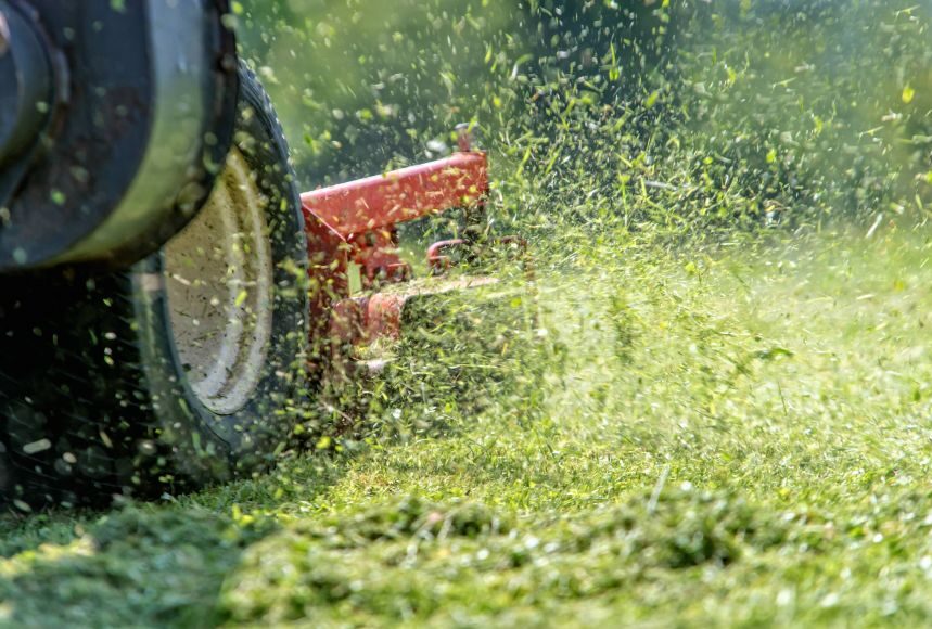 Lawn Mower Mulching vs Side Discharge: Which is Better?