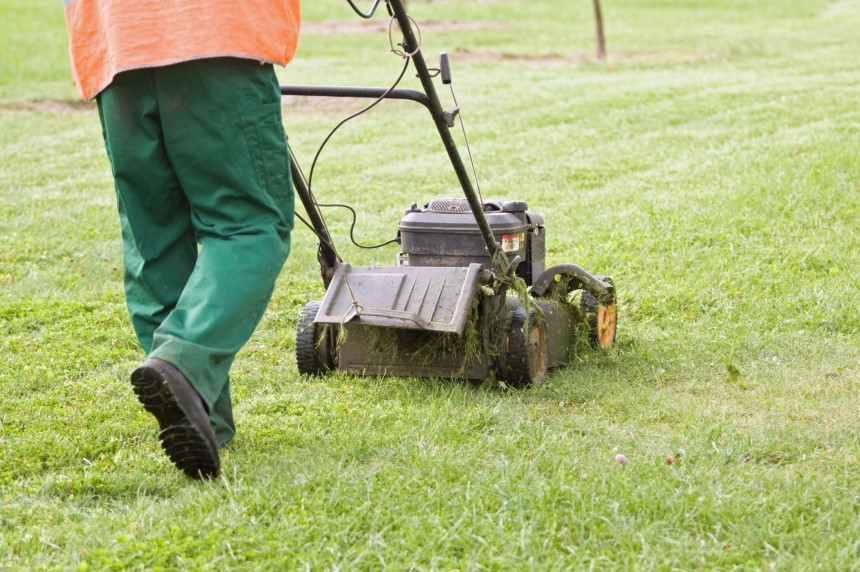 Lawn Mower Mulching vs Side Discharge: Which is Better?