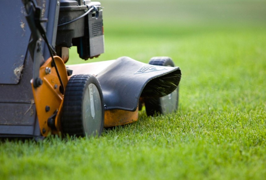 Lawn Mower Mulching vs Side Discharge: Which is Better?