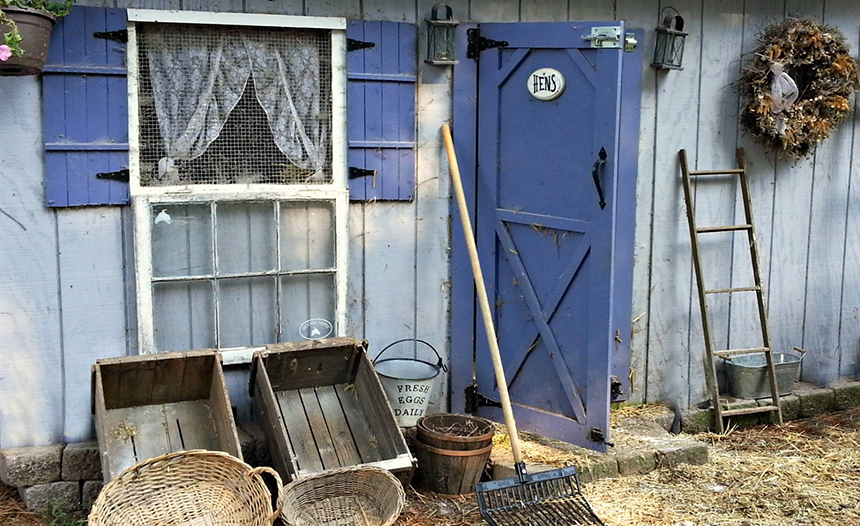 How to Clean a Chicken Coop