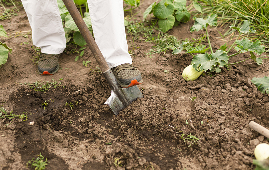 How to Till a Garden Without a Tiller