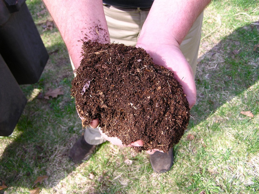 Compost vs Topsoil: What to Choose?