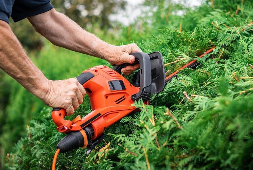 Gas vs Electric Hedge Trimmer: Which Does the Job Better?