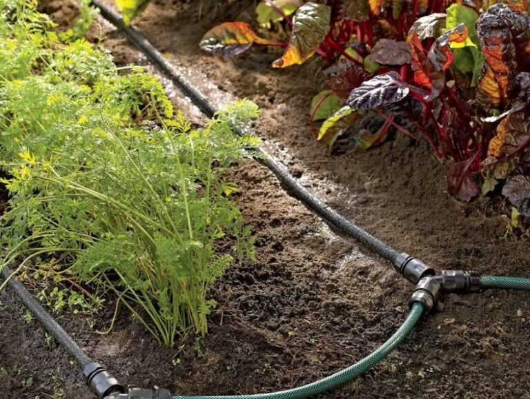 How Long to Run Soaker Hose Basic Info & Tips