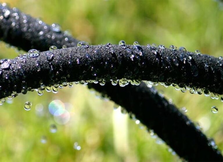 How Long to Run Soaker Hose Basic Info & Tips