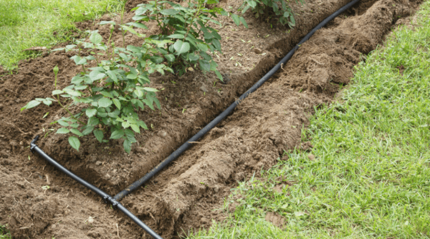 How Long to Run Soaker Hose: Tips from Experts