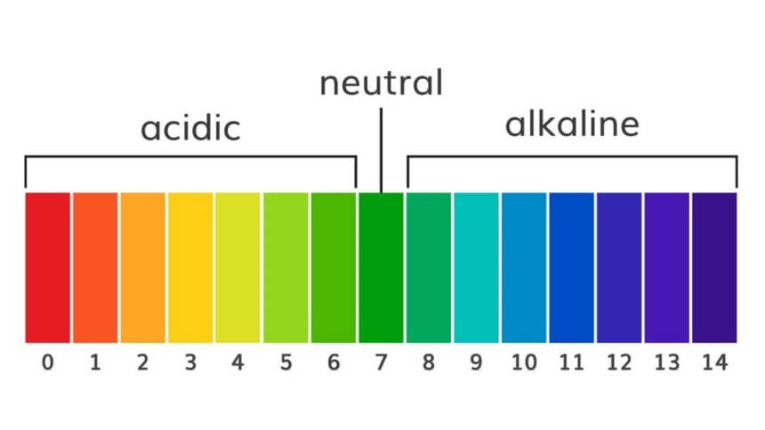 How to Lower pH in Soil with Vinegar: In-detail Guide