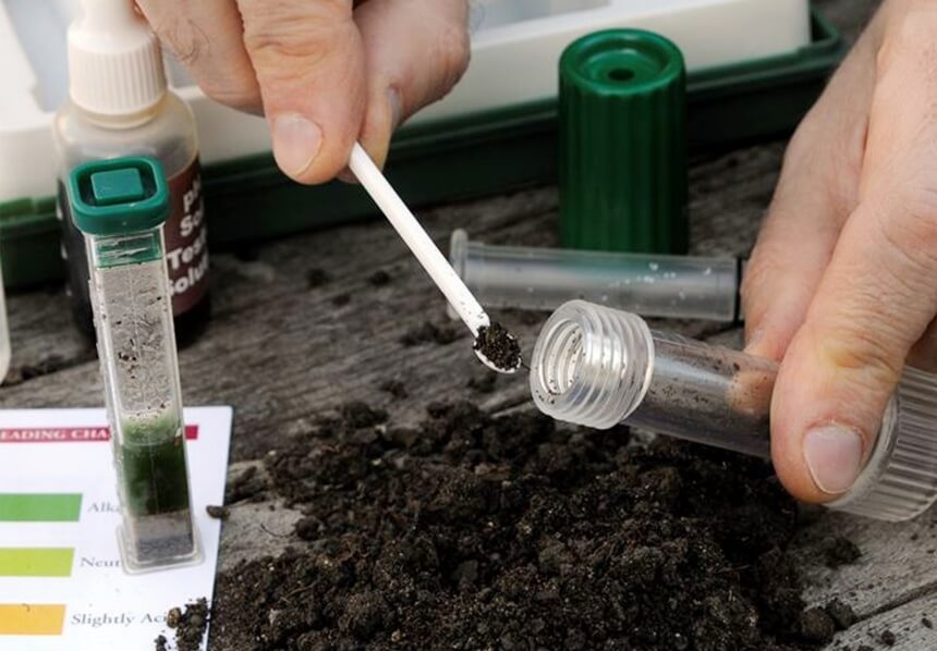 How to Lower pH in Soil with Vinegar