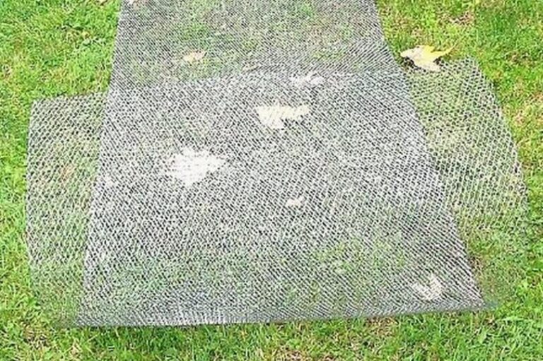 How to Make a Fire Pit Screen StepByStep Guide [Upd. 2024]